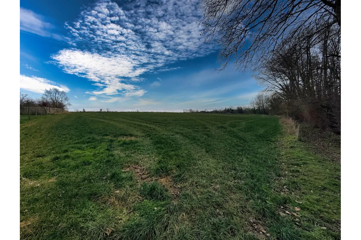 Terrain à vendre à Orbais 1360 400000.00€  chambres m² - Annonce 690514