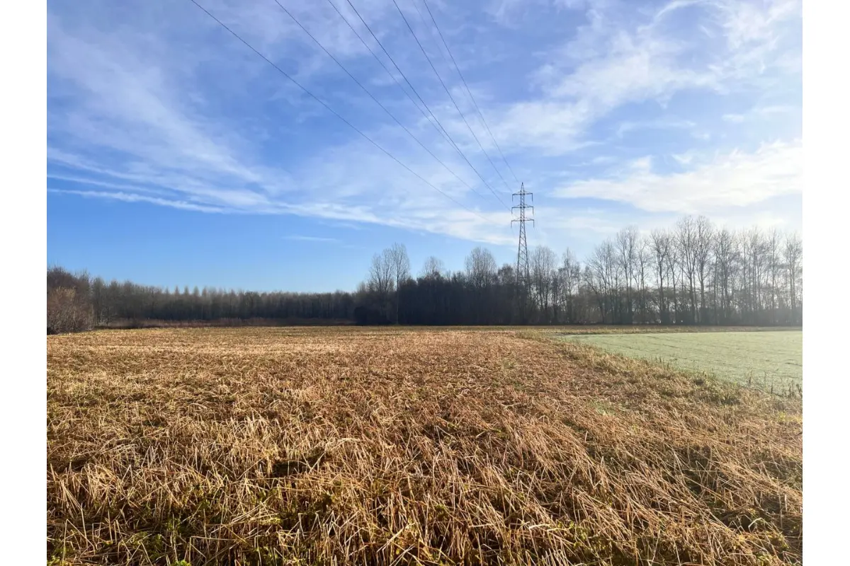 Terrain à vendre à Wijgmaal 3018 58000.00€  chambres m² - Annonce 690783