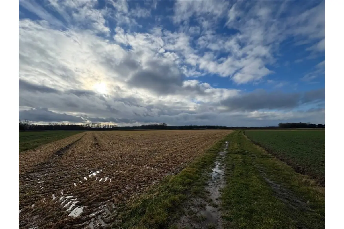 Terrain à vendre à Werchter 3118 40000.00€  chambres m² - Annonce 691977