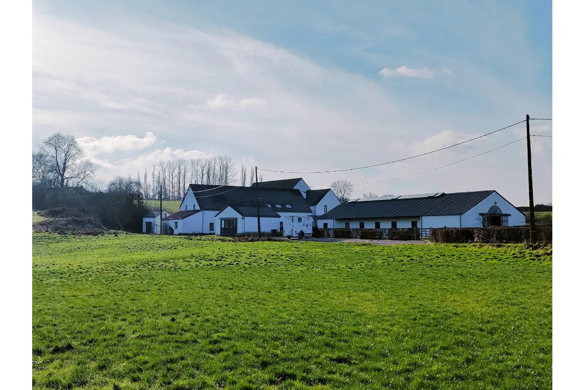 Handelszaak te  huur in Chaumont-Gistoux 1325 5000.00€  slaapkamers 340.00m² - Zoekertje 699896