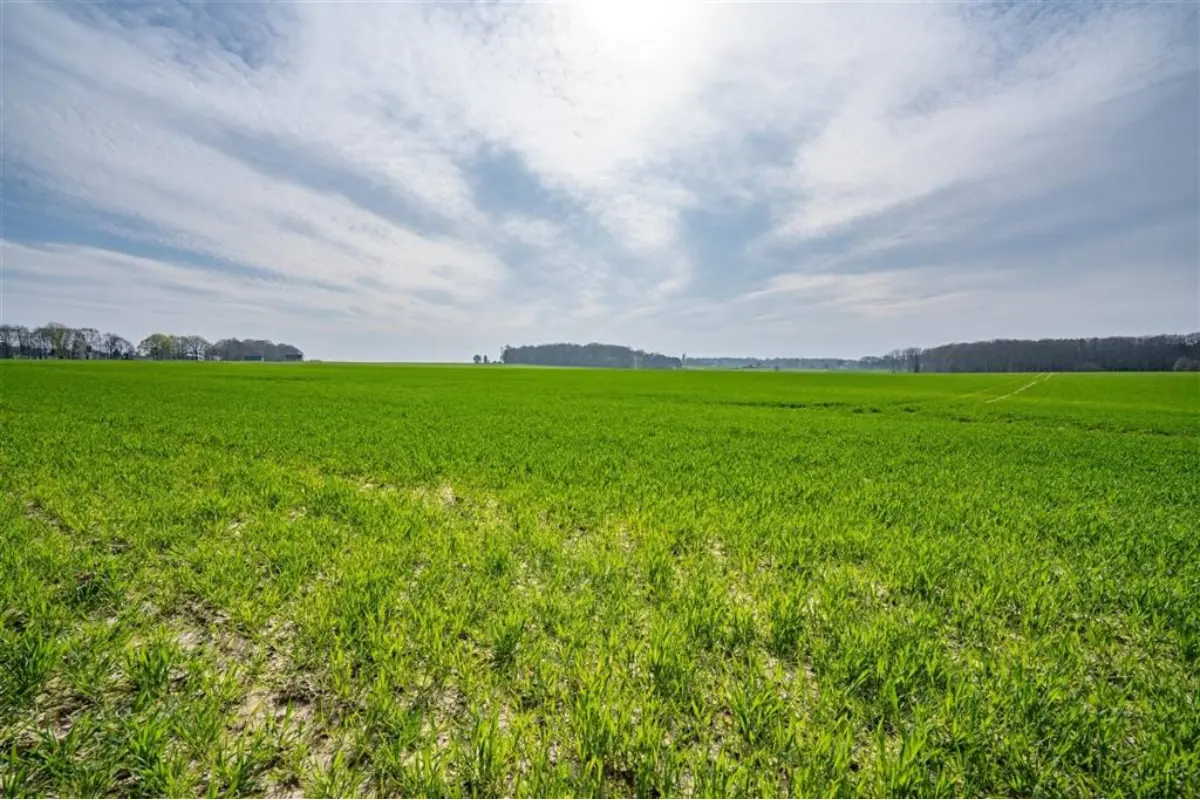 Terrain à vendre à Lasne-Chapelle-Saint-Lambert 1380 899000.00€  chambres m² - Annonce 722143