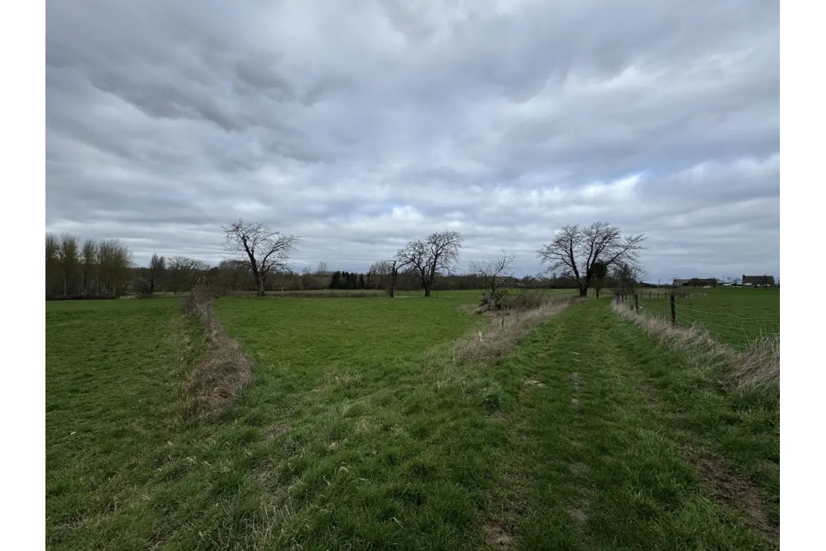 Terrain à vendre à Leeuw-Saint-Pierre 1600 65000.00€  chambres m² - Annonce 740469