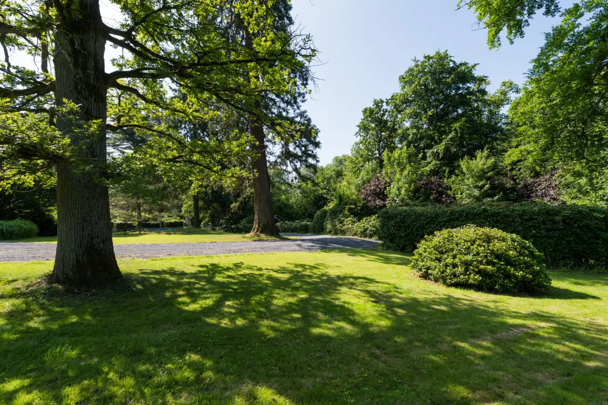 Huis te  koop in Lillois-Witterzée 1428 595000.00€ 5 slaapkamers 325.00m² - Zoekertje 742048