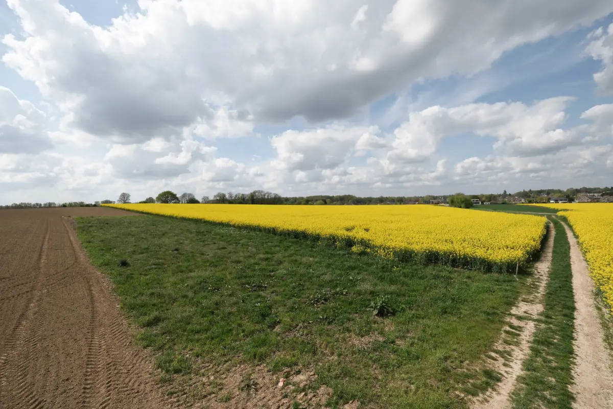 Terrain à vendre à Sterrebeek 1933 32000.00€  chambres m² - Annonce 742603