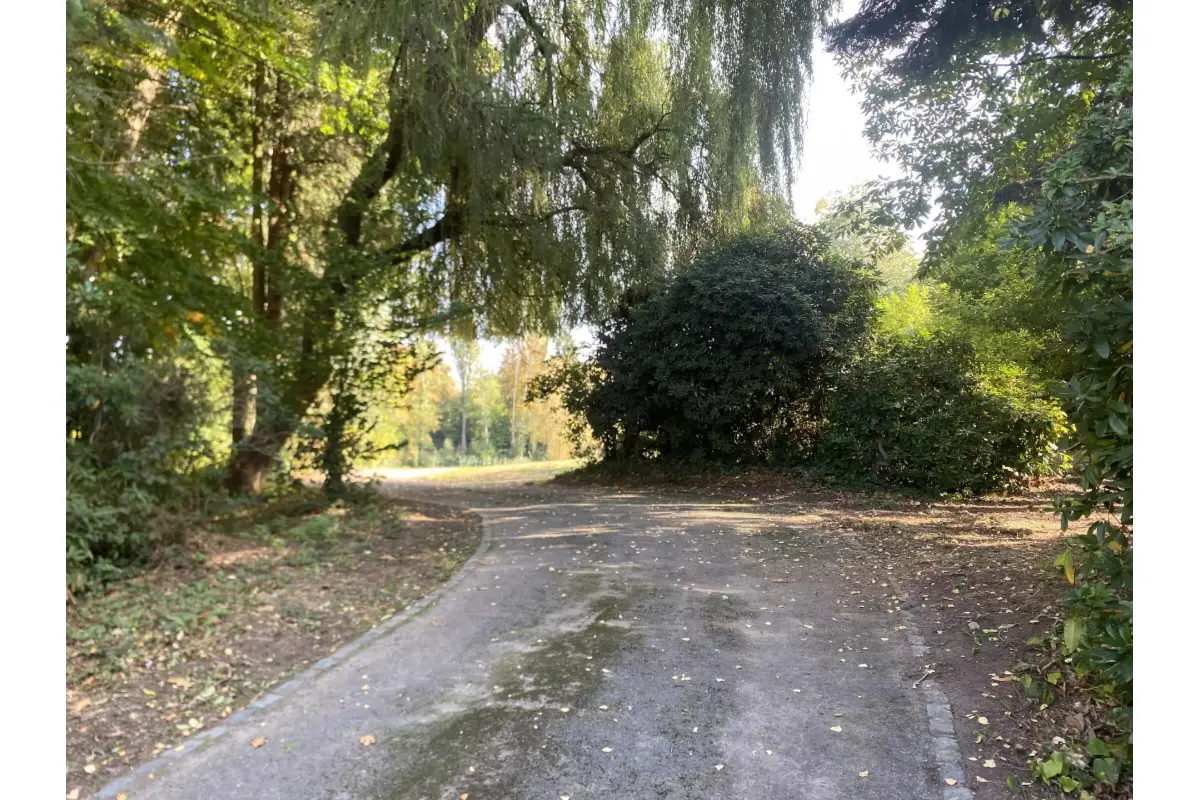 Grond te  koop in Lasne 1380 2350000.00€  slaapkamers m² - Zoekertje 746321