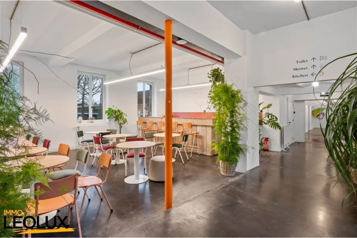 Handelszaak te  huur in Groot-Bijgaarden 1702 604.00€  slaapkamers 50.00m² - Zoekertje 751776