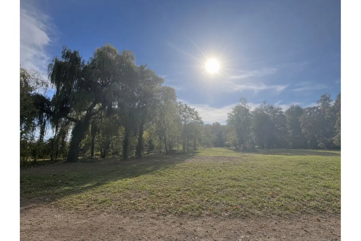Bouwgrond te  koop in Kampenhout 1910 260000.00€  slaapkamers m² - Zoekertje 753223