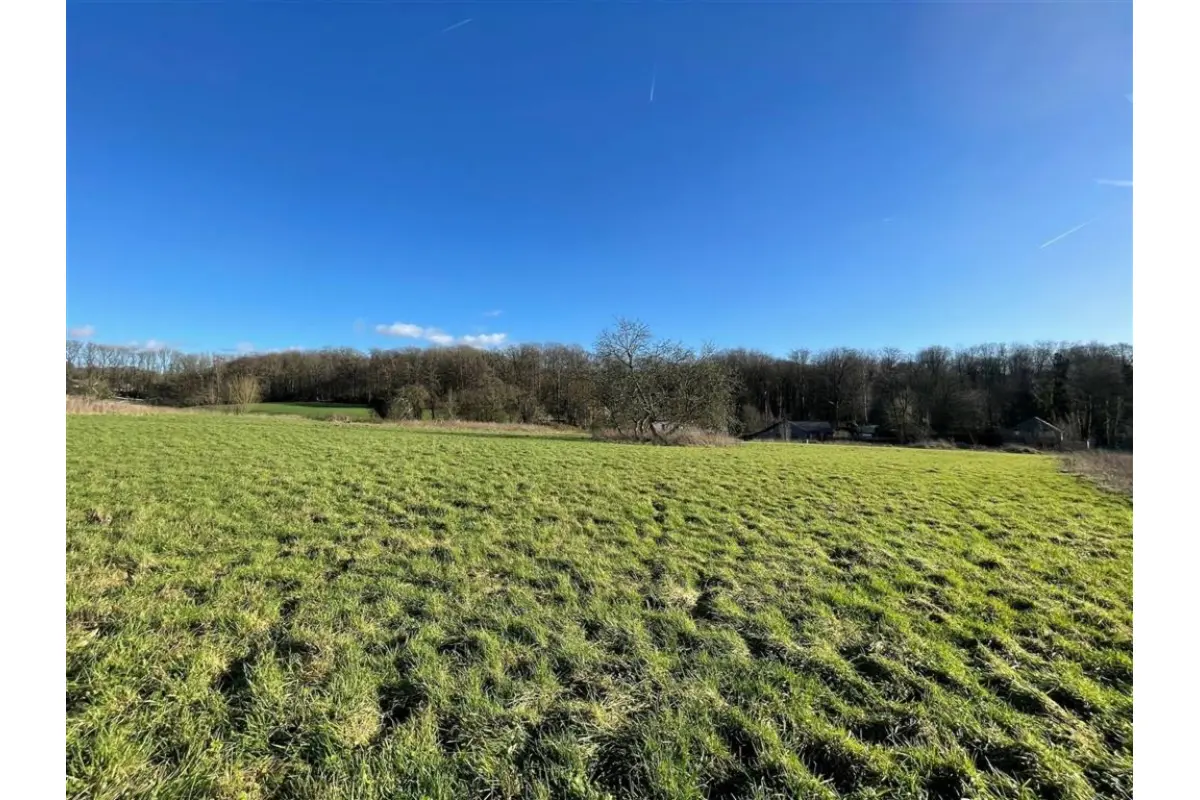 Terrain à bâtir à  à Braine-le-Comte 7090 350000.00€  chambres m² - Annonce 756708
