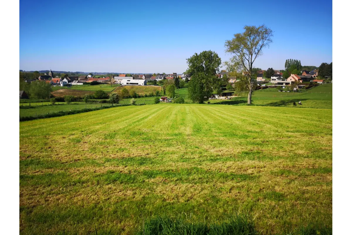 Grond te  koop in Galmaarden 1570 65000.00€  slaapkamers m² - Zoekertje 759613