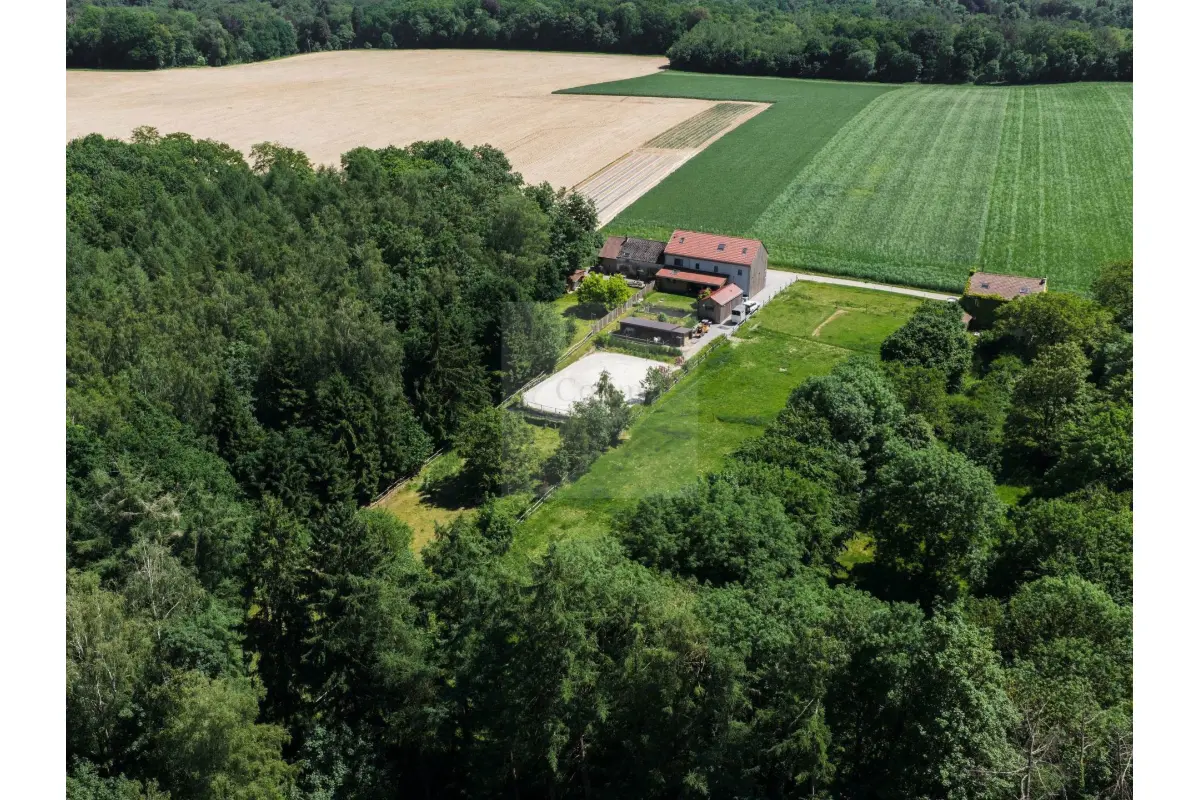 Bungalow à vendre à Baisy-Thy 1470 950000.00€ 3 chambres 386.00m² - Annonce 773631