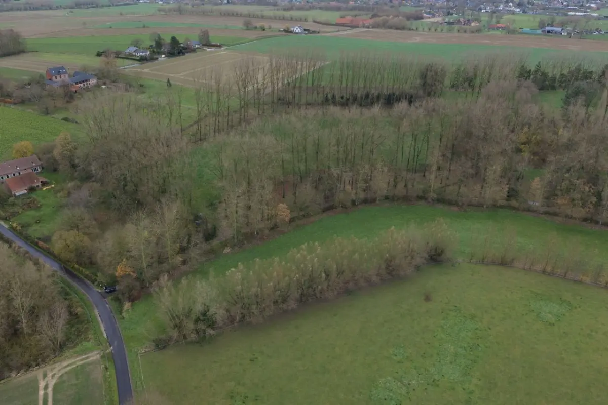Terrain à vendre à Herfelingen 1540 245000.00€  chambres m² - Annonce 779263