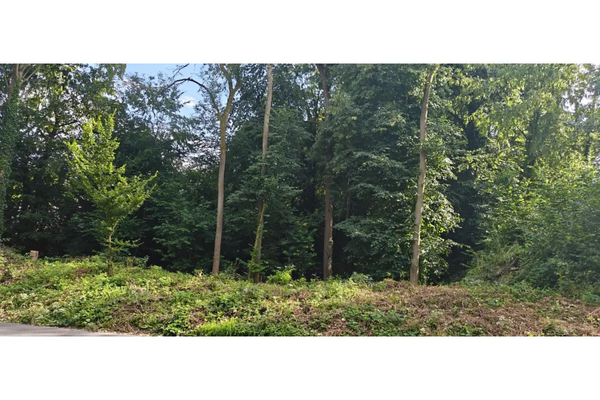 Terrain à bâtir à vendre à Dworp 1653 492800.00€  chambres m² - Annonce 805214