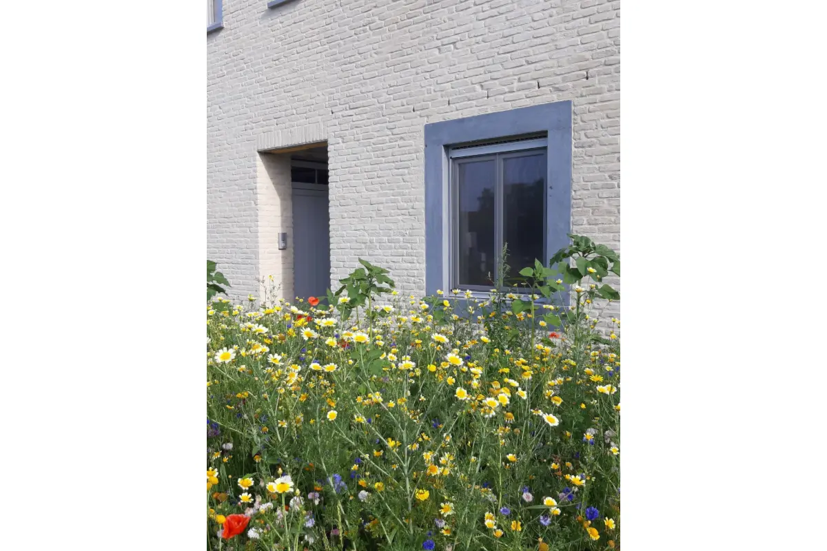 Appartement te  huur in Orsmaal-Gussenhoven 3350 1100.00€ 3 slaapkamers 90.00m² - Zoekertje 813074