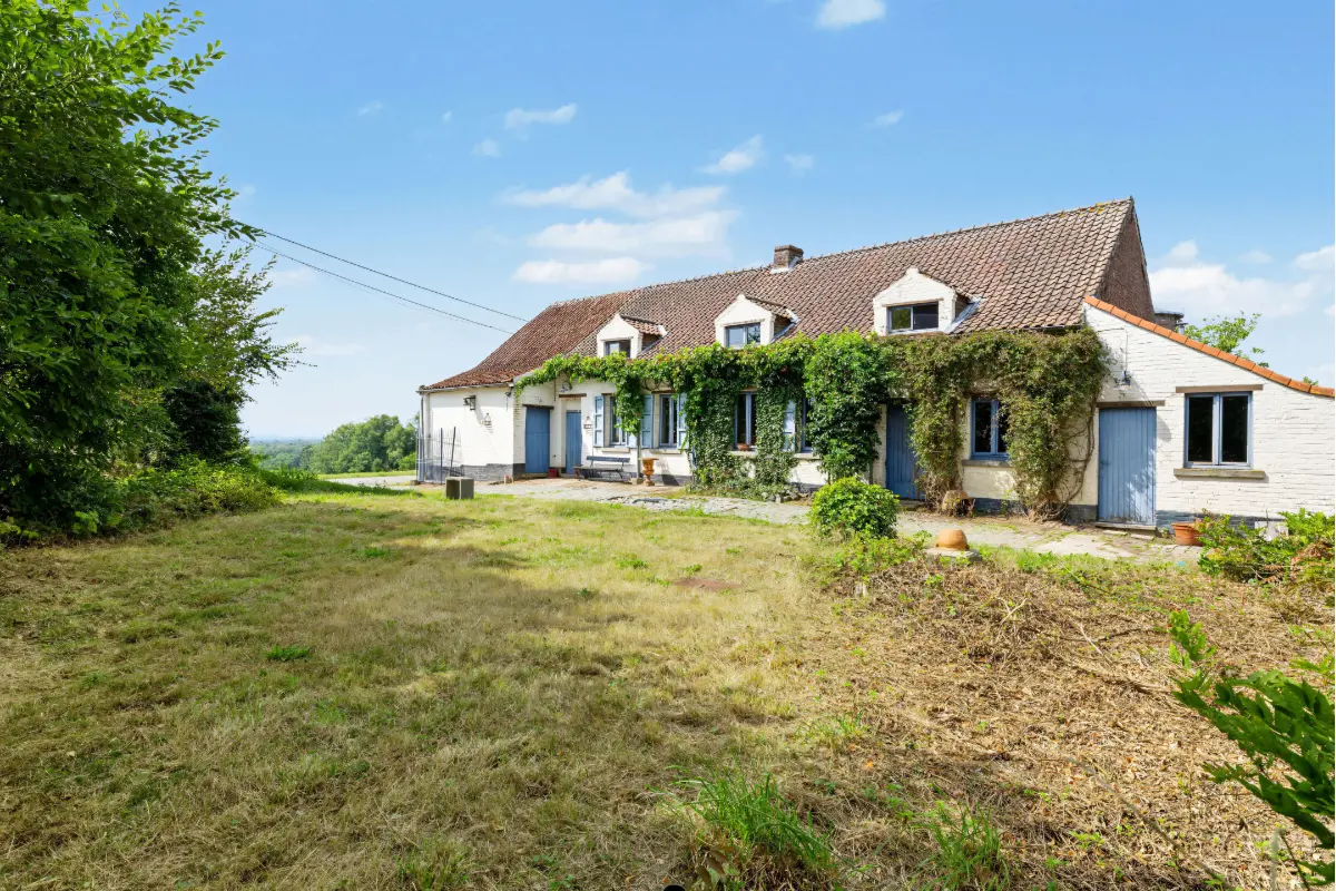 Huis te  koop in Sint-Pieters-Kapelle 1541 450000.00€ 5 slaapkamers 283.00m² - Zoekertje 816276